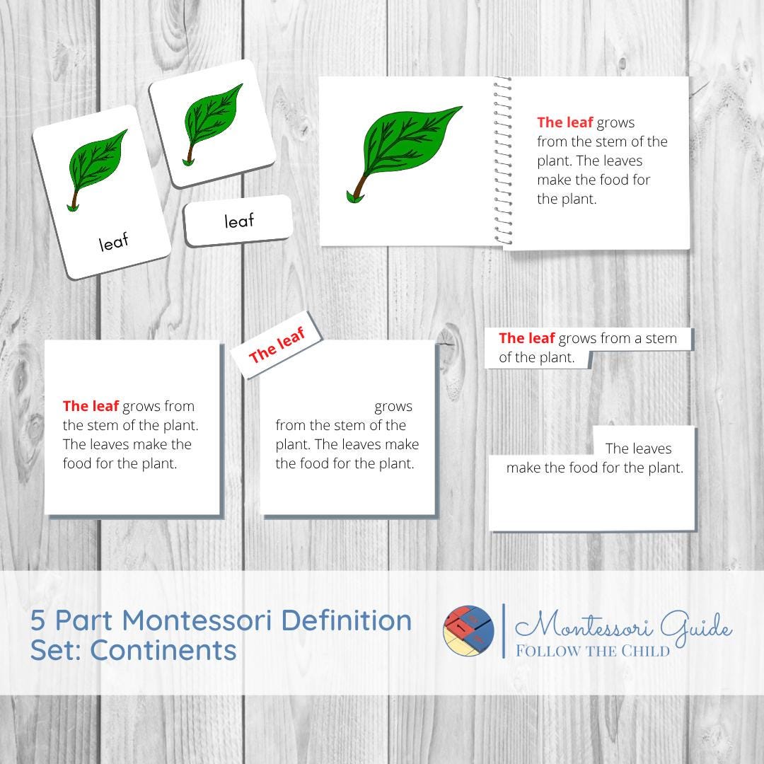 PARTS OF A LEAF Full Five Part Montessori Definition Set - Etsy