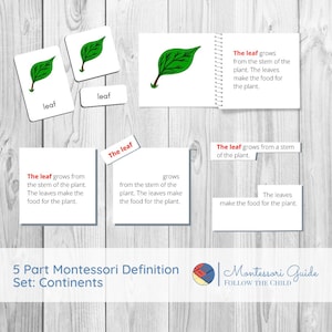 PARTS OF A LEAF Full Five Part Montessori Definition Set