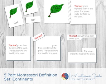 PARTS OF A LEAF Full Five Part Montessori Definition Set