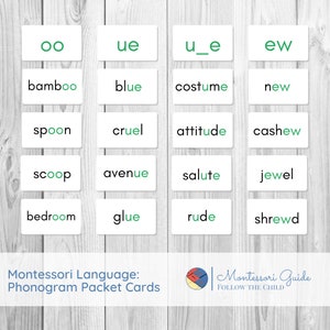 Phonogram Reading Cards - 410 Karten, die 41 Tonträger abdecken