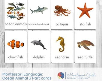 Ocean Animal Montessori 3 Part Cards