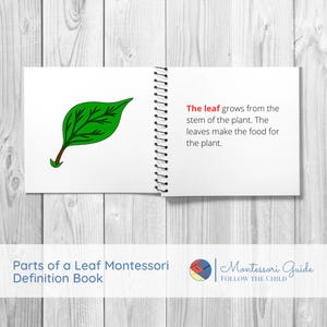 Parts of a Leaf Montessori Definition Book