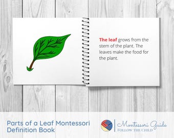 Parts of a Leaf Montessori Definition Book