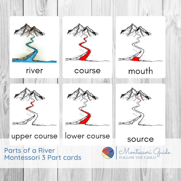 Parts of a River Montessori Three-Part Cards