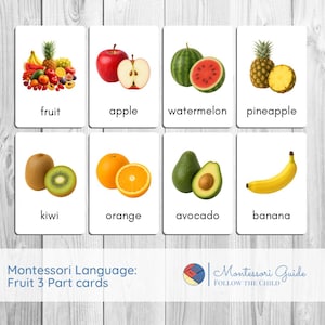 Fruit Montessori Cards