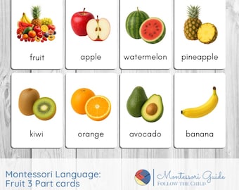 Fruit Montessori Cards
