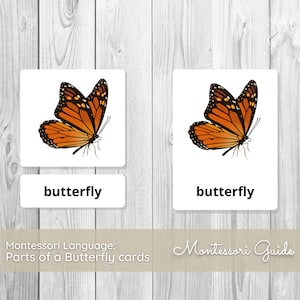 Partes de una mariposa Tarjetas Montessori de tres partes