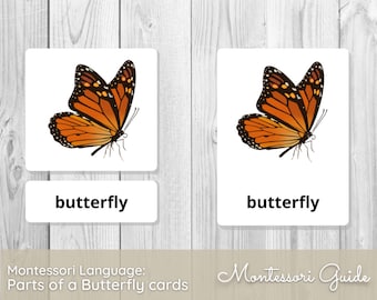 Parts of a Butterfly Montessori Three-Part Cards