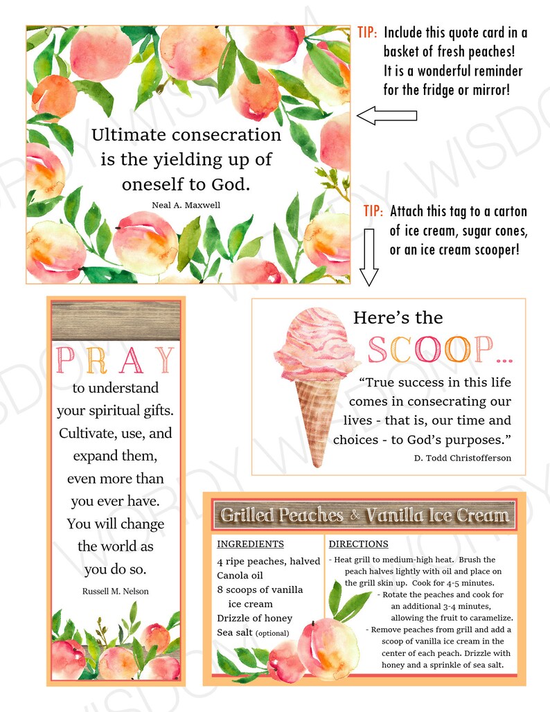 Summer Ministering Kit, Relief Society, Instant Download, Printable image 2