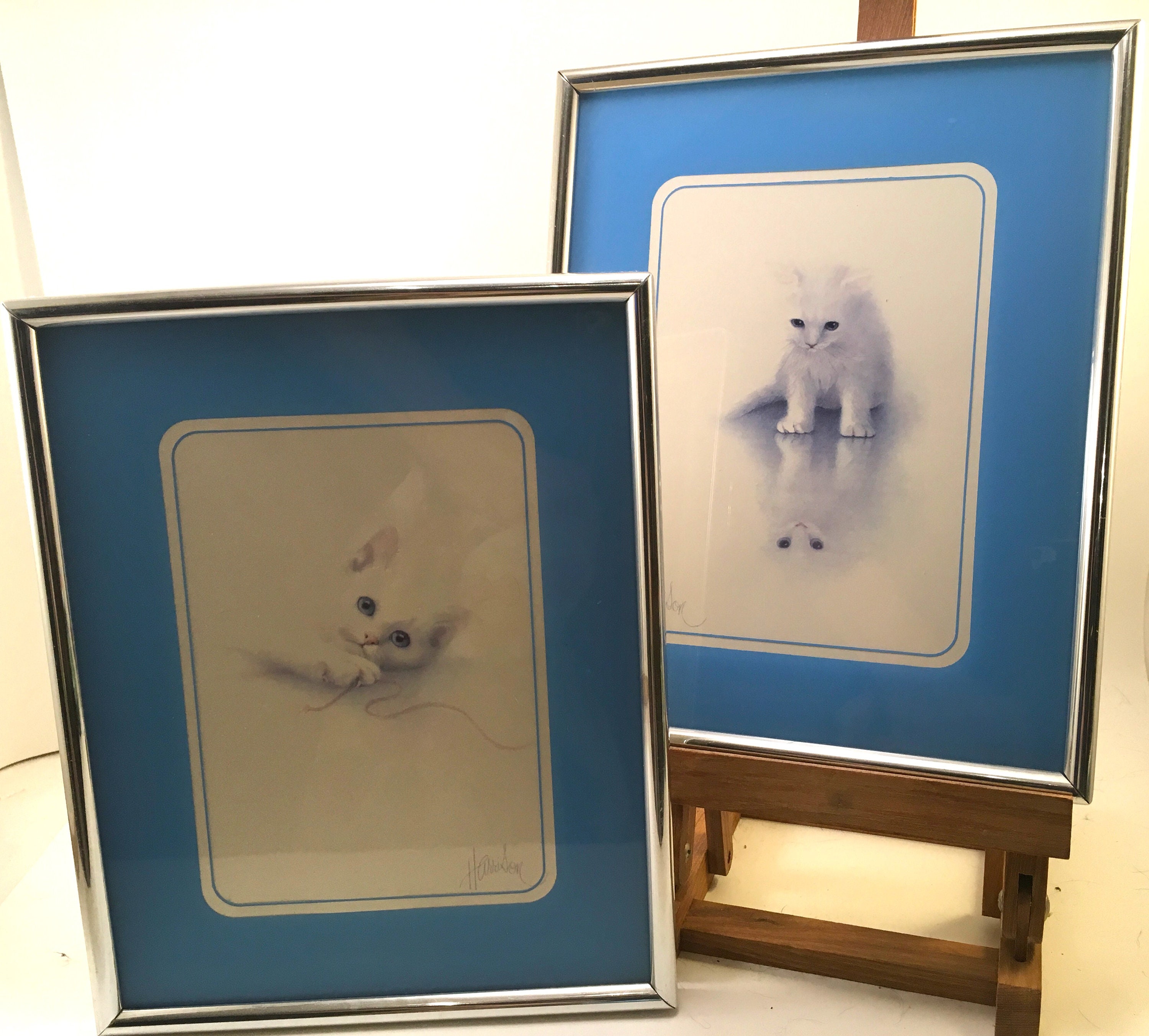 Pair White Fluffy Kitten Cat Prints Silver Plastic Metal Look Frames W Blue Gallery Photo