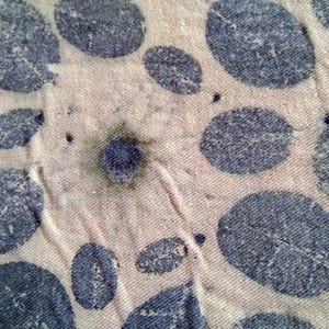 May include: Close-up of a beige fabric featuring a repeating pattern of large, blue leaf shapes. The leaves have a textured appearance, and the fabric has a slightly worn look. The design is simple and natural.