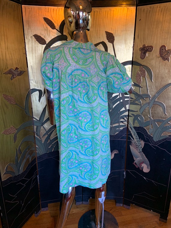 vintage 60s paisley pastel dress with Bo - image 6