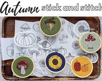 Autumn Hand Embroidery / Stick and Stitch