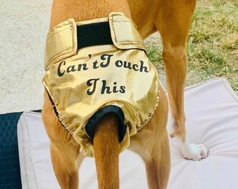 Personalized Bitch Britches, Dog Diaper, Dog Panties for Heats and incontinence. Custom made, washable, and adjustable