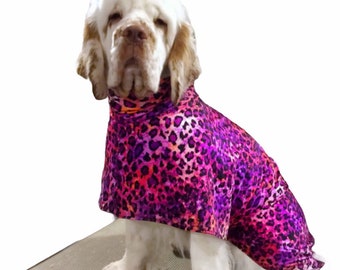 Trockener Mantel für Hunde, Pflegemantel, Lycra, waschbar, bequem, kundenspezifischer Hundemantel, Spandex