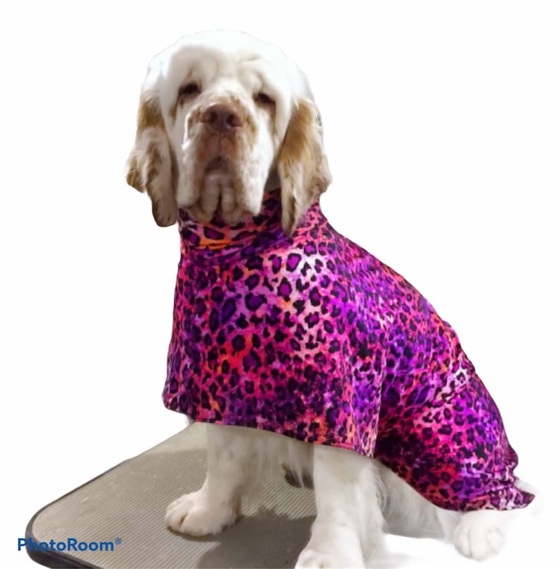 Dog Drying Coat Grooming Coat Lycra Washable Comfortable Etsy