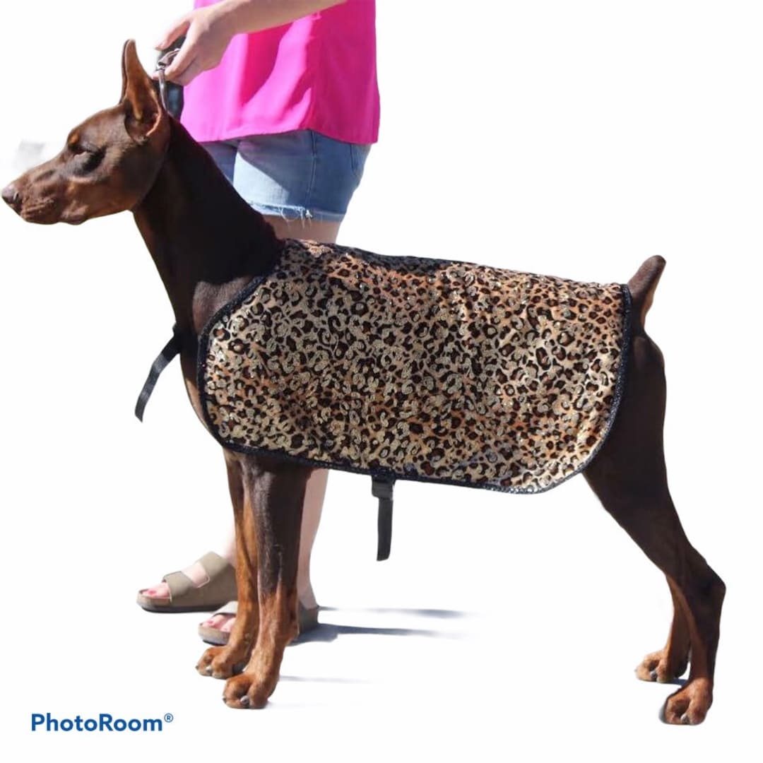 Custom Dog Cool Coat, Dog Wet Coat, Keeps Your Dog Looking and Feeling