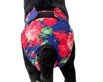 custom dog diapers