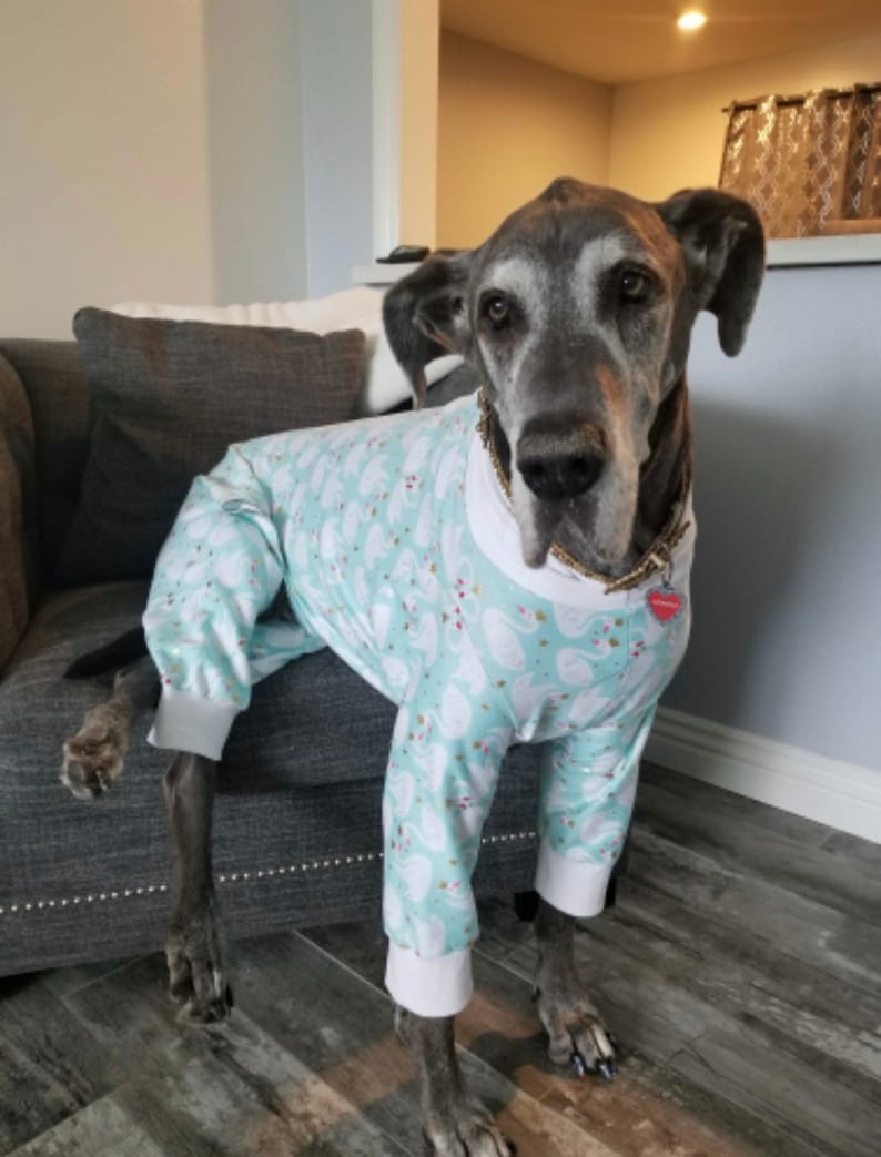 Dog Flannel Pajamas