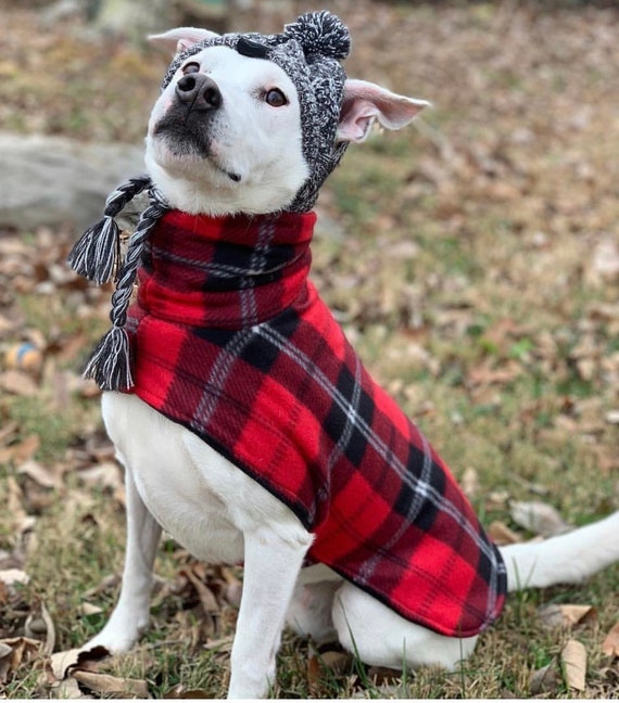 How To Sew A Cozy Custom Dog Coat In Less Than An Hour, 41 OFF