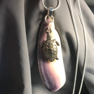 Puede incluir: Un collar de cadena de plata con un colgante de concha de mar púrpura con un dije de tortuga de plata.