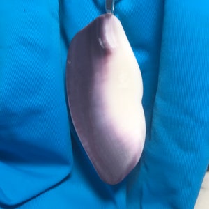 Large Cape Cod Wampum Pendant