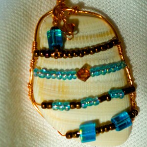 Wire Wrapped Sea Shell Necklace