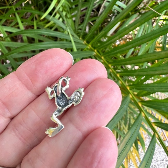 925 Silver Frog Locket Frog Urn Locket Frog Urn Necklace