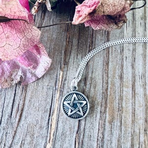 May include: A silver pendant necklace with a circular charm displaying a five-pointed star. The pendant is suspended from a fine chain. The background features dried pink flowers and a weathered wooden surface.