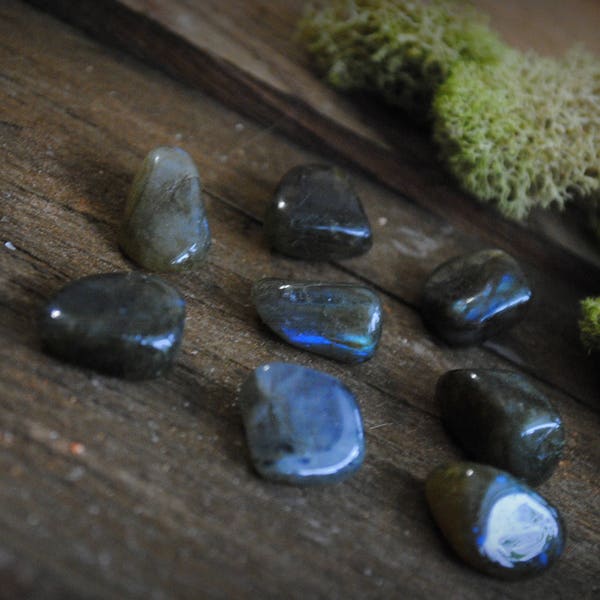 Labradorite (Tumbled)(Small)