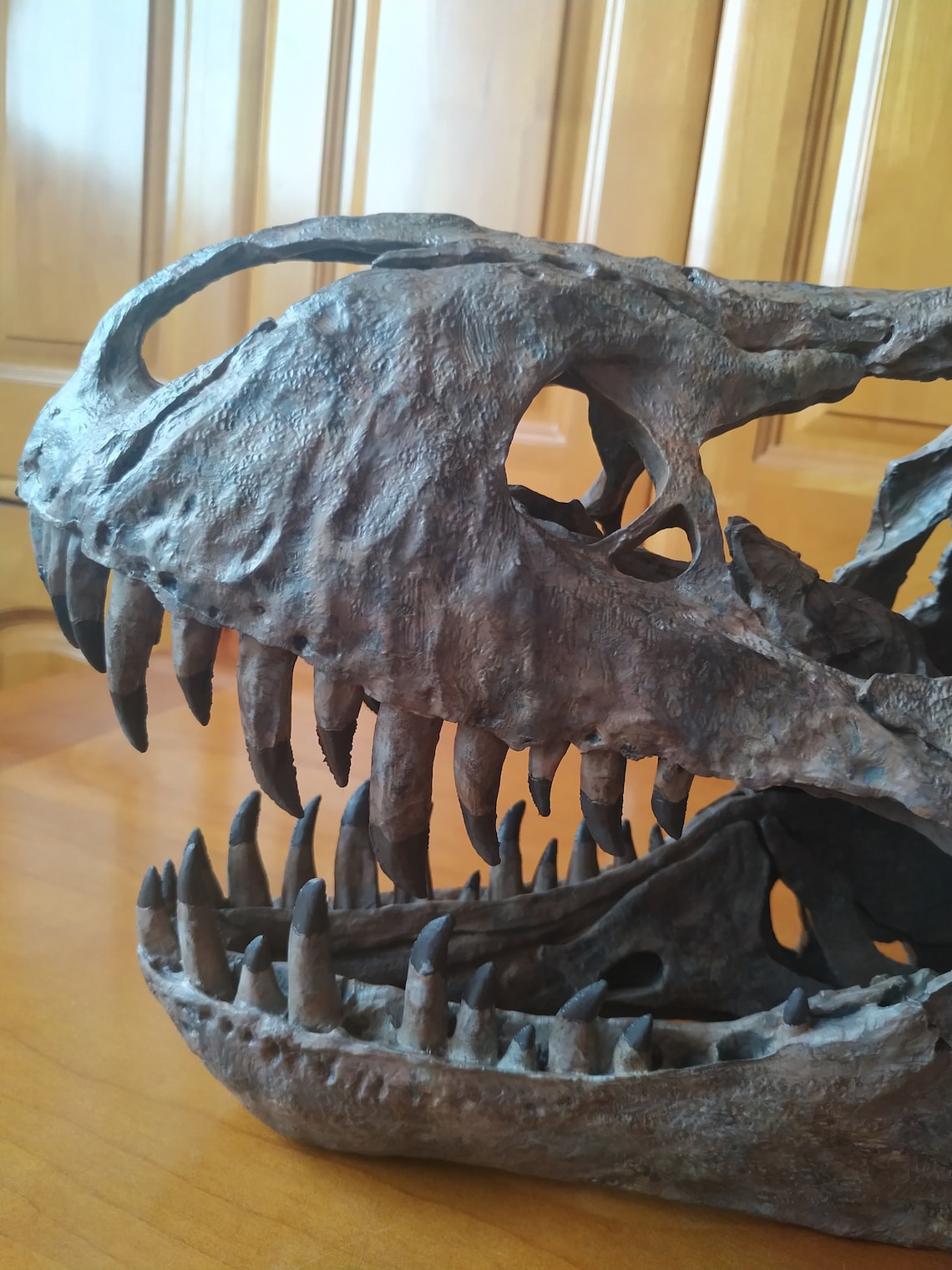 t rex skull model