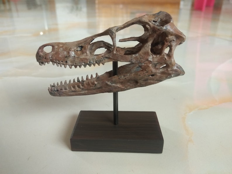 small velociraptor