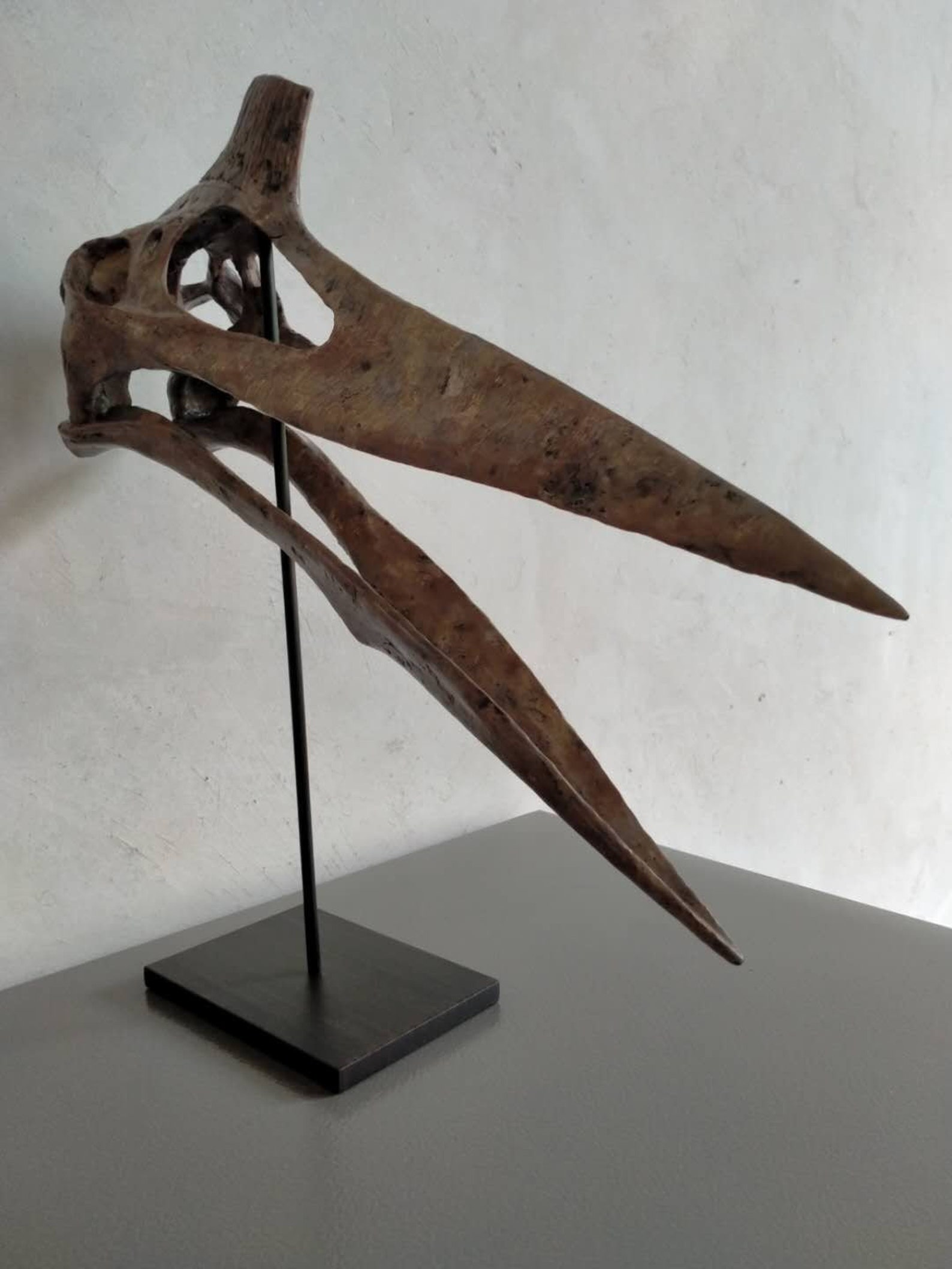 NEW 40CM Pterosaur / Quetzalcoatlus skeleton Model | Etsy