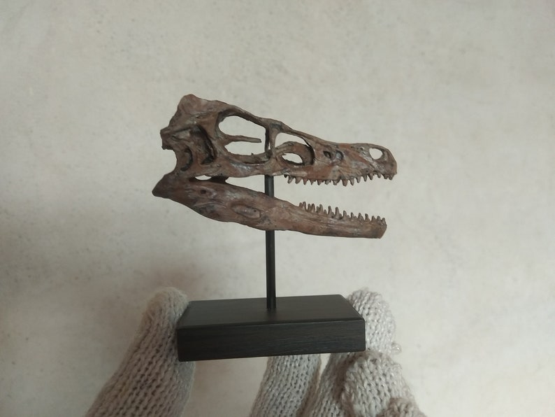 small velociraptor