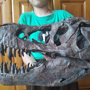 38CM，Dinosaur model / T-REX Skull  Model DB21-002