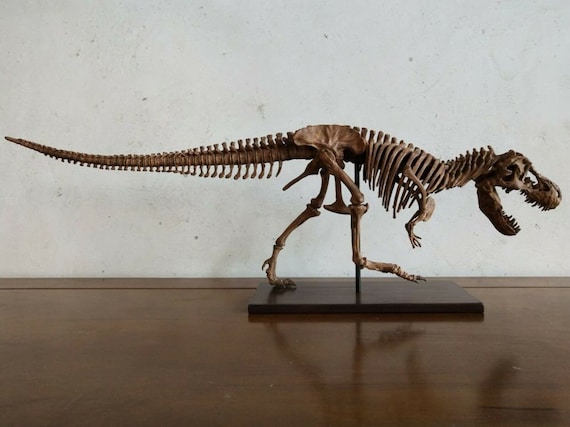 T-Rex a 最初期 Handcrafted in Denmark 65 CM, Dinosaur Model / T- Rex Skeleton Model BGJ-001 - Etsy
