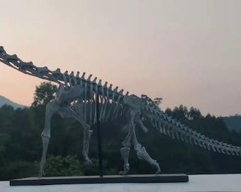 Nuevo modelo de dinosaurio de 81 cm / Esqueleto de Brachiosaurus Modelo WL-2101