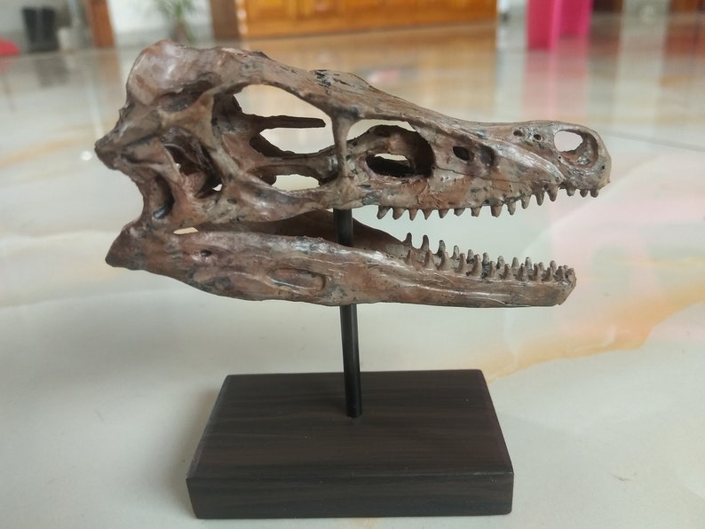 small velociraptor