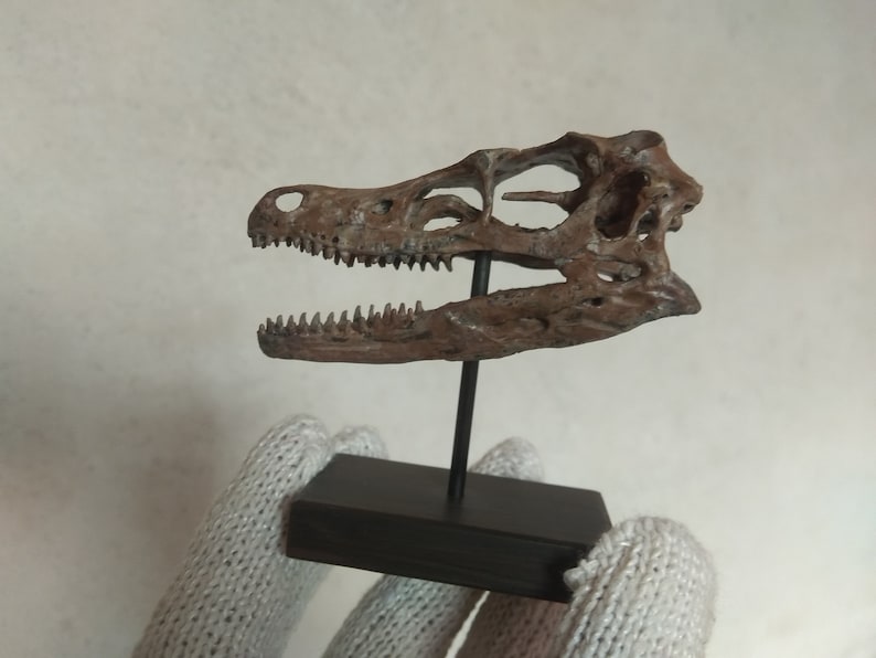small velociraptor