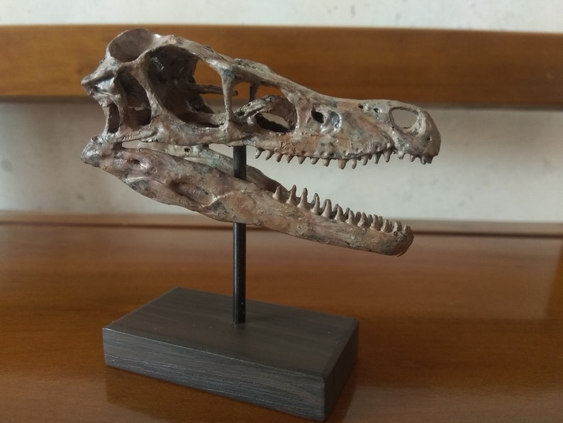 small velociraptor