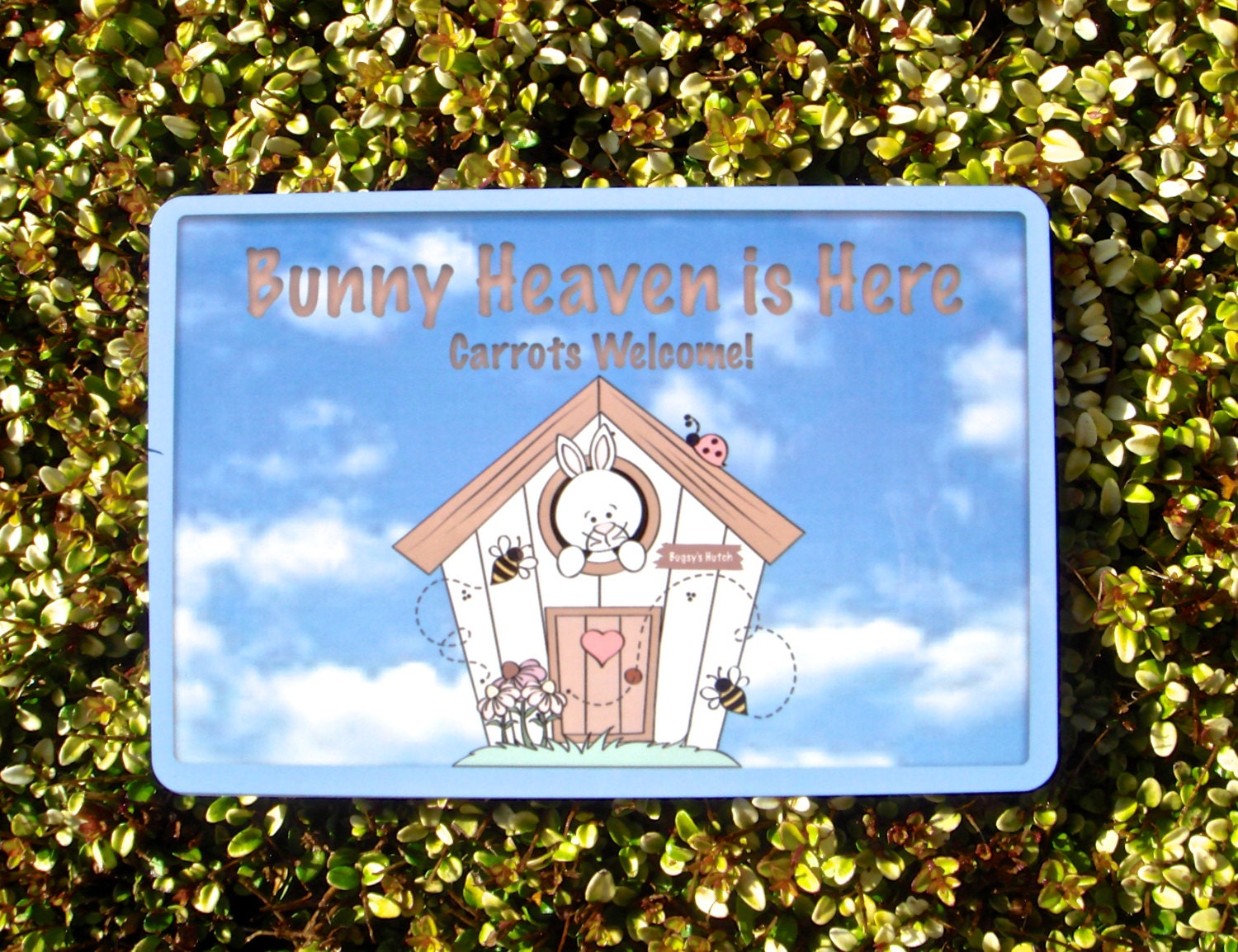 BUNNY Custom Made SIGN: Rabbit Hutch Metal or Wood | Etsy