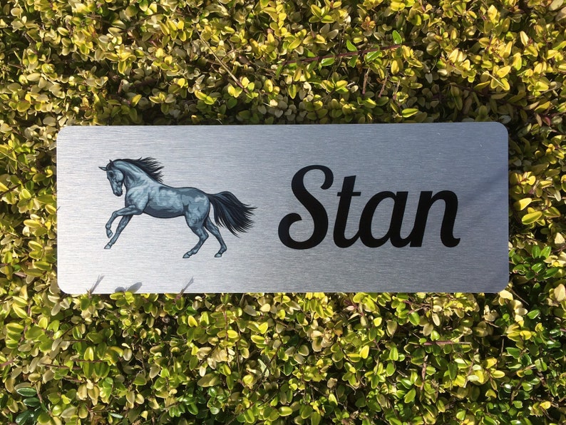 HORSE NAME / STABLE Sign in Brushed Silver, Gold or White Metal Add Your Own Text image 7