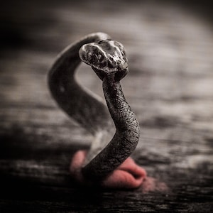 Op de afbeelding: Een zilveren slangenring met een opgerold lichaam en een opgeheven kop. De ring ligt op een houten oppervlak.