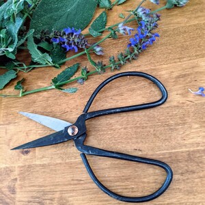 Farmhouse Garden Scissors, Rustic Primitive Bonsai Scissors, Small ...