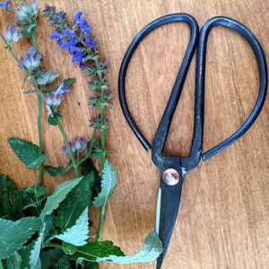 Farmhouse Garden Scissors, Rustic Primitive Bonsai Scissors, Small ...