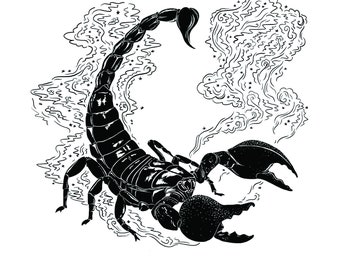 May include: Black and white illustration of a scorpion with a starry background. The scorpion is curled up in a defensive position with its tail raised. The text "Scorpio" is written below the scorpion.