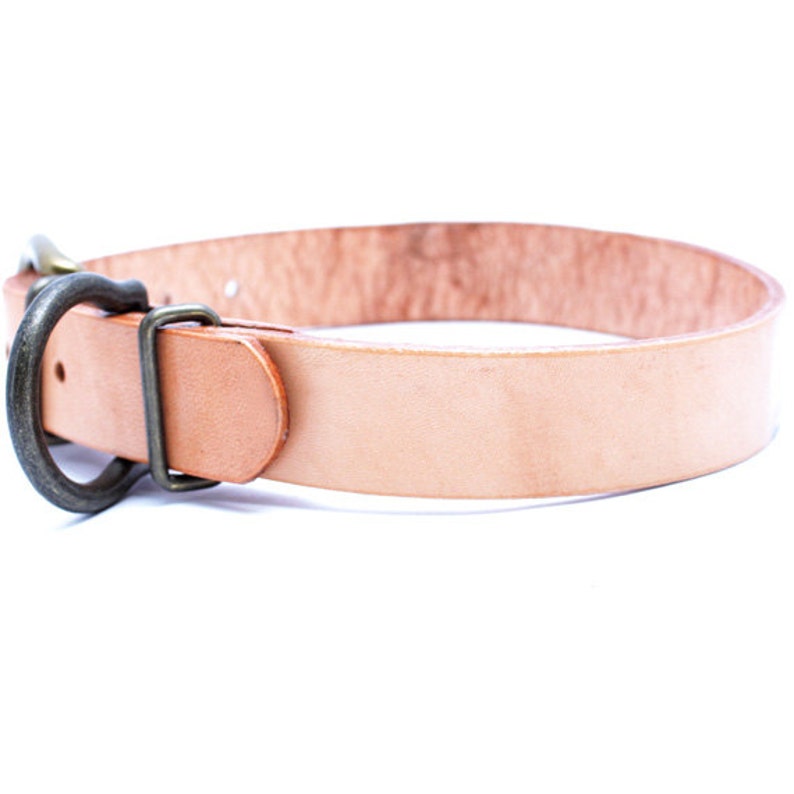 Japanese 1inch Width Leather Large Dog Collar ZEN Kanji BUDDHA Etsy