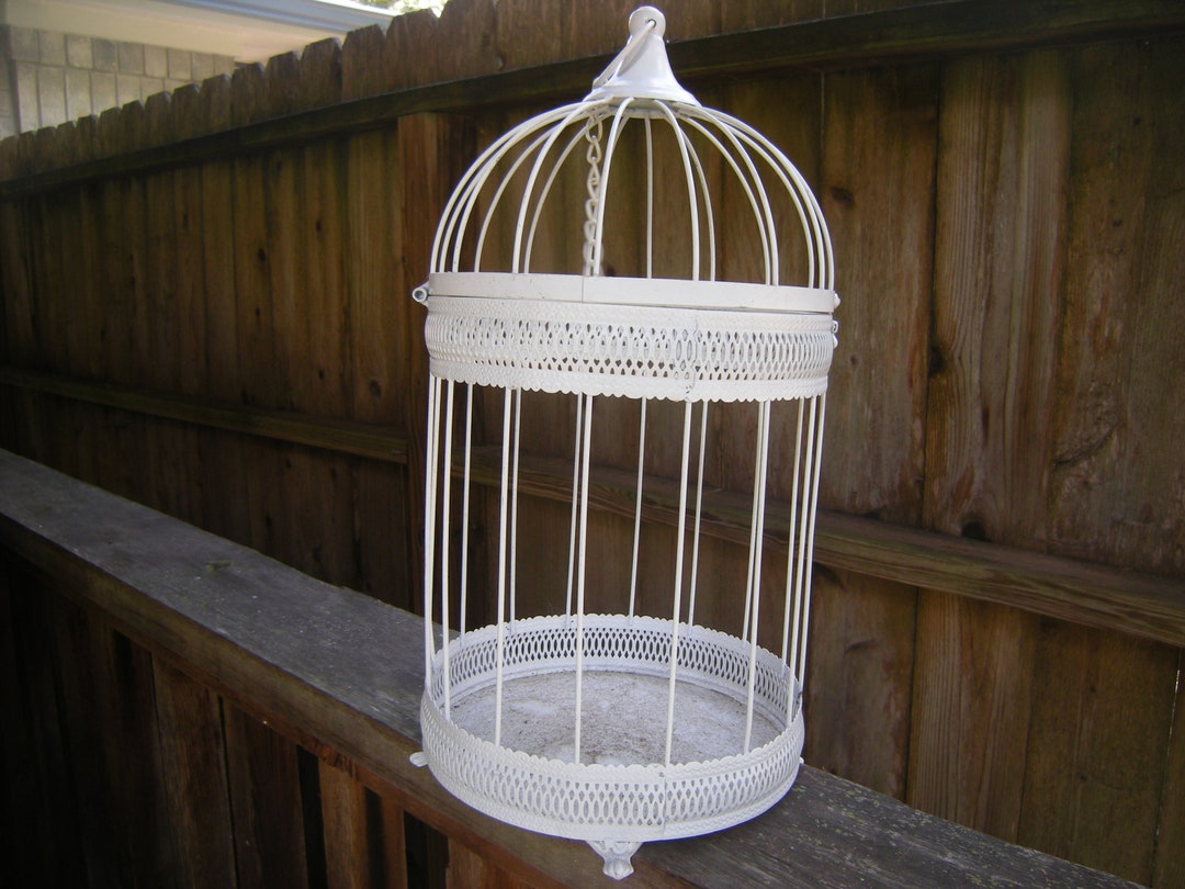 Vtge Bird Cagehanging Cageplant Holderdisplay Cagehome and Living