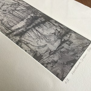 May include: A black and white print of a woodland scene with the text "AIP - Woodland Stream Still Life" in the bottom right corner.