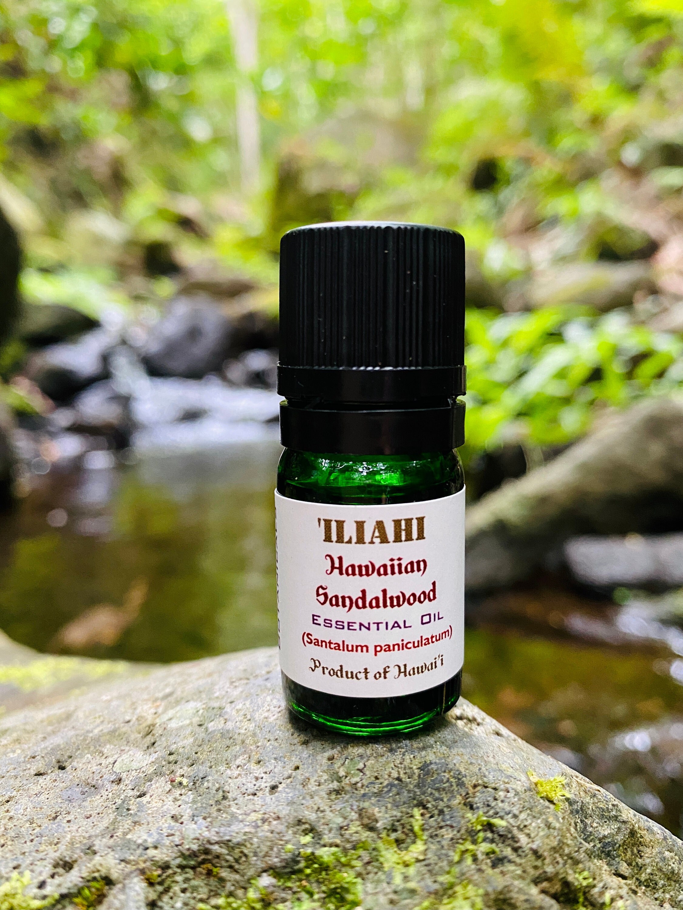 Sandalwood Hawaiian 'iliahi santalum Paniculatum Therapeutic Grade Essential  Oil 5 Ml 